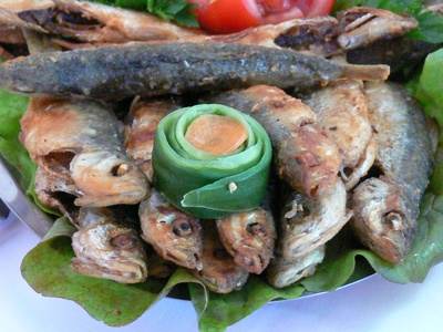 Catamaran zeilen Griekenland