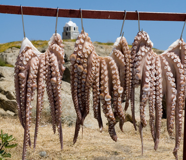 Catamaran zeilen Italie